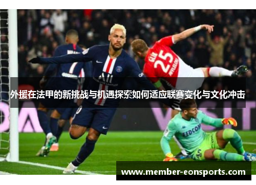 外援在法甲的新挑战与机遇探索如何适应联赛变化与文化冲击
