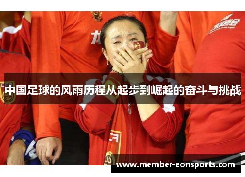 中国足球的风雨历程从起步到崛起的奋斗与挑战