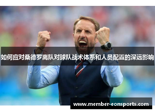 如何应对桑德罗离队对球队战术体系和人员配置的深远影响