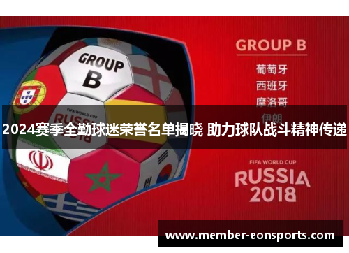 2024赛季全勤球迷荣誉名单揭晓 助力球队战斗精神传递