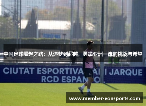 中国足球崛起之路：从追梦到超越，勇攀亚洲一流的挑战与希望